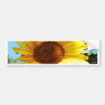 Giant Sunflower Bumper Sticker