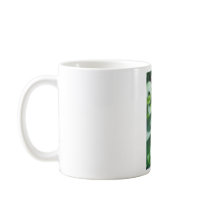 Giant Swallowtail Butterfly Mugs