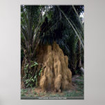 Giant termite mound from the Forest Posters