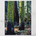 Giant Trees - Sequoia National Forest Personalized Flyer