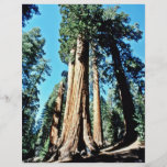 Giant Trees - Sequoia National Forest Flyers