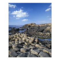 Giants Causeway, County Antrim, Northern