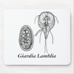 Giardia Lamblia Gov.ai, Giardia Lamblia