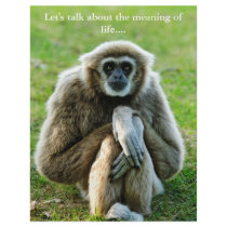 Gibbon, Let's talk about the meaning of life... Flyers