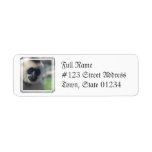 Gibbon Return Address Mailing Label