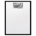 Gibson Girl Reading Letterhead Template