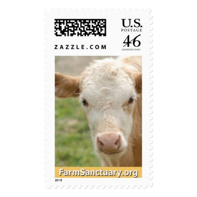 Gidget the Calf Stamps by FarmSanctuary
