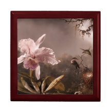 Gift Box-Hummingbirds in the Mist