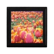 Gift Box Tulip Flowers Jewellery boxes Keepsakes