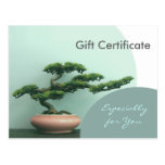 Gift Certificate Template-Flat-Bonsai Circles Post Card
