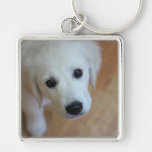 Gift for animal lovers key chains