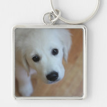 Gift for animal lovers key chains