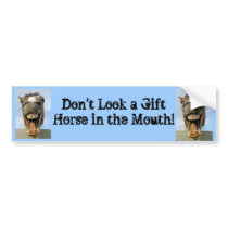 gift horse Bumper Sticker bumper stickers