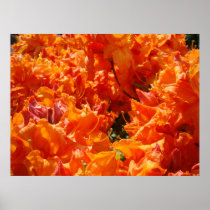 GIFTS Boss Manager Orange Azalea Art Prints Canvas