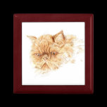 ginger persian cat gift boxes