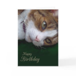 Ginger Tabby Cat Personalizable Happy Birthday Greeting Card