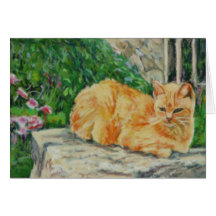 Ginger Tom Cat Cards