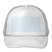 Gingham check pattern. Pale Blue and White. Mesh Hat