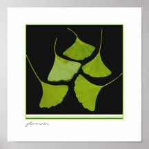 Gingko Leaves poster