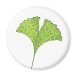 Gingko Magnet