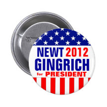 GINGRICH PIN