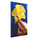 Ginkgo biloba leaves canvas print