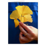 Ginkgo biloba leaves card