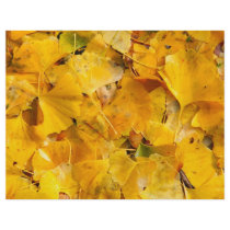 Ginkgo Biloba leaves Custom Flyer