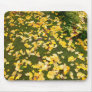 Ginkgo biloba leaves mouse pads