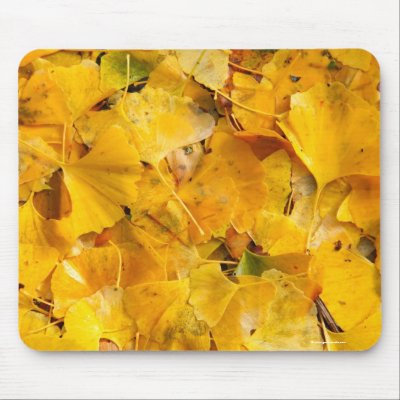 Ginkgo Biloba leaves Mousepad by gavila_pt