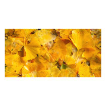 Ginkgo Biloba leaves Personalized Photo Card
