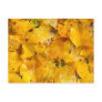 Ginkgo Biloba leaves Postcards
