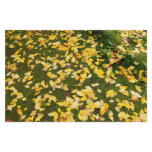 Ginkgo biloba leaves stationery design
