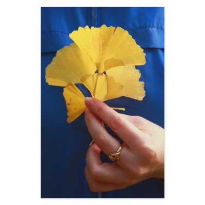 Ginkgo biloba leaves stationery by gavila_pt