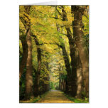 Ginkgo Biloba trees Greeting Card