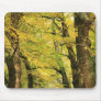 Ginkgo Biloba trees Mouse Pads