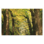 Ginkgo Biloba trees Personalized Stationery
