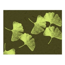 Ginkgo Leaves Postcard