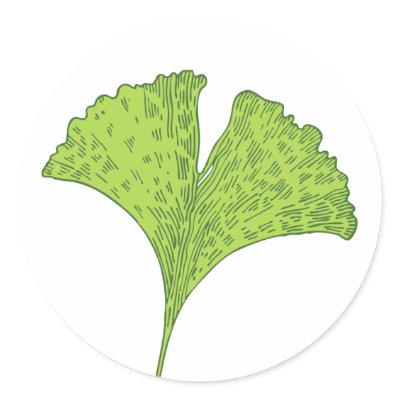 Ginkgo Sticker by ShouShou