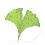 Ginkgo Sticker