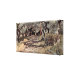 Front/Right