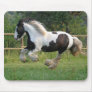 Gipsy horse mousepad