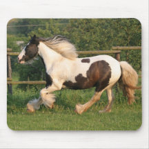 Gipsy horse mousepad
