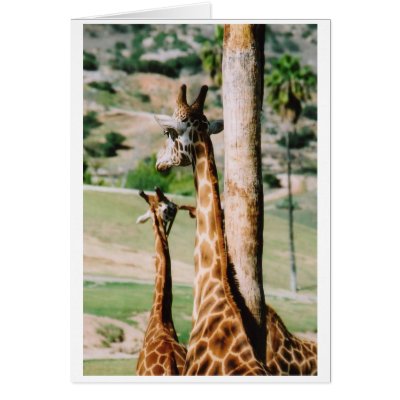 GIRAF_BACK CARDS by christellewiggins