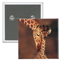 Girafe adulte avec le veau (camelopardalis de Gira Pin's