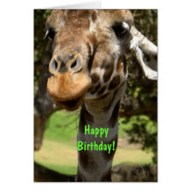 Girafe, joyeux anniversaire ! carte de vœux
