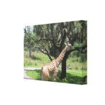 Girafe sur le mouvement toiles tendues sur châssis
