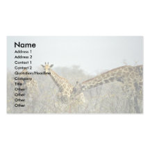 Girafes dans les buissons cartes de visite personnelles