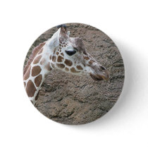 Giraffe 2 button
