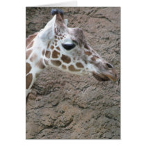 Giraffe 2 greeting cards